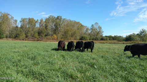 Tiny photo for 1298 County Road T3, Grand Rapids, OH 43522 (MLS # 10006203)