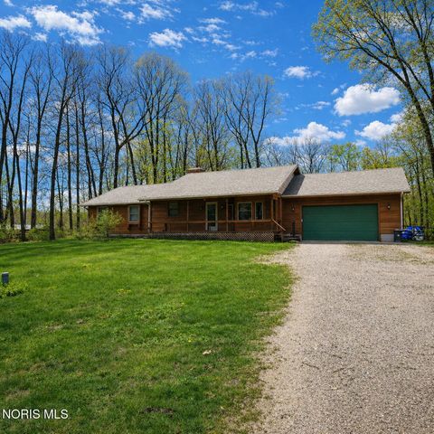 Photo of 10625 Ramm Road, Whitehouse, OH 43571 (MLS # 10007167)