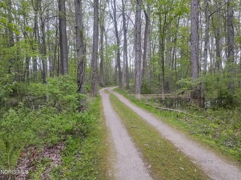 Tiny photo for 10625 Ramm Road, Whitehouse, OH 43571 (MLS # 10007167)