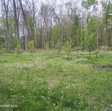 Tiny photo for 10625 Ramm Road, Whitehouse, OH 43571 (MLS # 10007167)