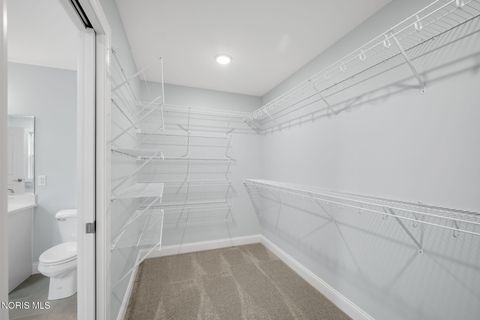 Tiny photo for 11171 Whitetail Way, Whitehouse, OH 43571 (MLS # 10004526)