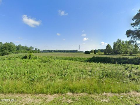 Photo of 1411014170 Neowash Road, Grand Rapids, OH 43522 (MLS # 10004247)