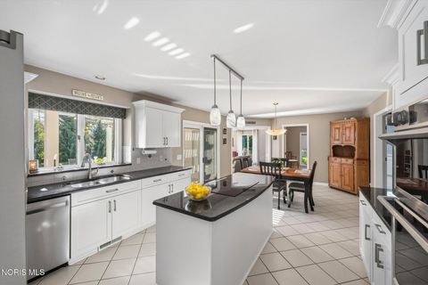 Tiny photo for 4652 Country Walk Lane, Sylvania, OH 43560 (MLS # 10007257)