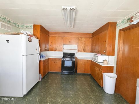 Tiny photo for 750 Park Street, Napoleon, OH 43545 (MLS # 10008165)