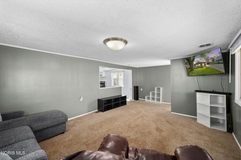 Tiny photo for 913 W College Avenue, Woodville, OH 43469 (MLS # 10006719)