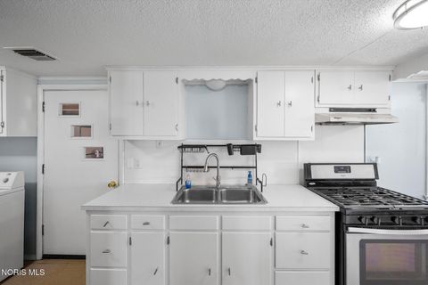 Tiny photo for 913 W College Avenue, Woodville, OH 43469 (MLS # 10006719)