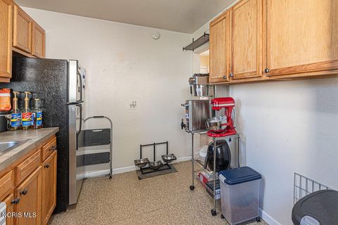 Tiny photo for 1202 Cribb Street, Toledo, OH 43612 (MLS # 10004975)