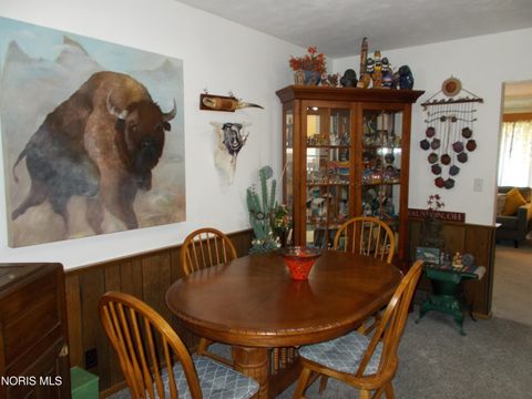 Tiny photo for 1111 Indiana Avenue, Napoleon, OH 43545 (MLS # 10007962)