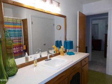 Tiny photo for 1111 Indiana Avenue, Napoleon, OH 43545 (MLS # 10007962)