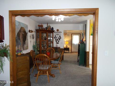 Tiny photo for 1111 Indiana Avenue, Napoleon, OH 43545 (MLS # 10007962)