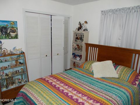 Tiny photo for 1111 Indiana Avenue, Napoleon, OH 43545 (MLS # 10007962)