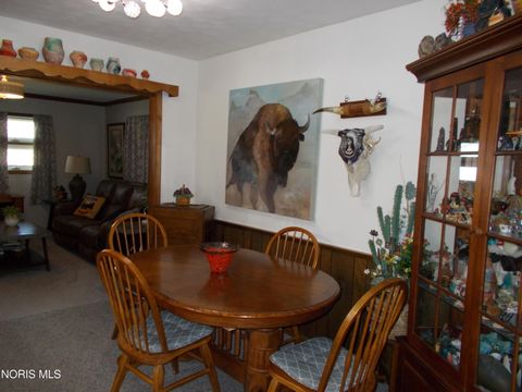 Tiny photo for 1111 Indiana Avenue, Napoleon, OH 43545 (MLS # 10007962)