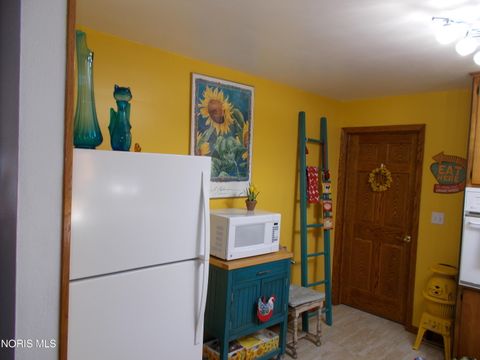 Tiny photo for 1111 Indiana Avenue, Napoleon, OH 43545 (MLS # 10007962)