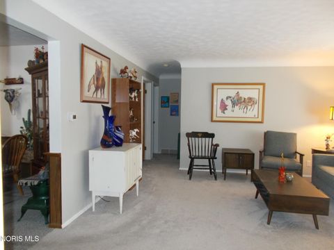 Tiny photo for 1111 Indiana Avenue, Napoleon, OH 43545 (MLS # 10007962)