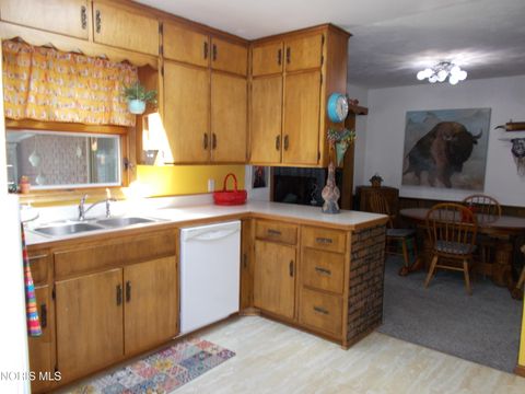 Tiny photo for 1111 Indiana Avenue, Napoleon, OH 43545 (MLS # 10007962)