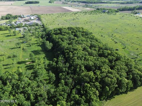 Tiny photo for 26422 County Road J, Archbold, OH 43502 (MLS # 10008415)