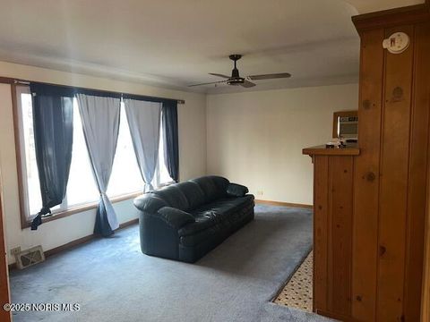 Tiny photo for 511 W Maumee Avenue, Napoleon, OH 43545 (MLS # 10002486)