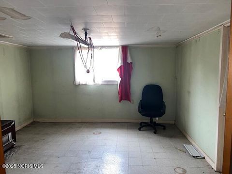 Tiny photo for 511 W Maumee Avenue, Napoleon, OH 43545 (MLS # 10002486)