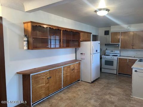 Tiny photo for 511 W Maumee Avenue, Napoleon, OH 43545 (MLS # 10002486)