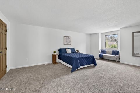 Tiny photo for 2461 Brownlee Drive, Toledo, OH 43615 (MLS # 10007458)