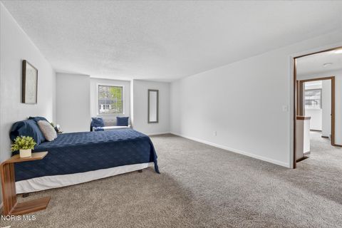 Tiny photo for 2461 Brownlee Drive, Toledo, OH 43615 (MLS # 10007458)