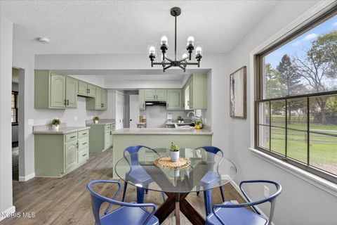 Tiny photo for 2461 Brownlee Drive, Toledo, OH 43615 (MLS # 10007458)