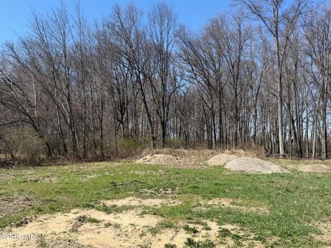 Photo of 7026 Red Stag Court, Whitehouse, OH 43571 (MLS # 10006228)