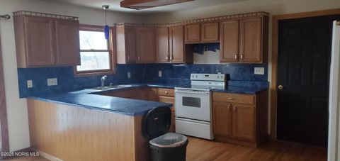 Tiny photo for 111 Pontiac Trail, Montpelier, OH 43543 (MLS # 10002425)