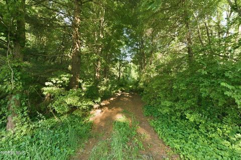 Tiny photo for 6420 Prov Neap Swan Road, Swanton, OH 43558 (MLS # 10008446)
