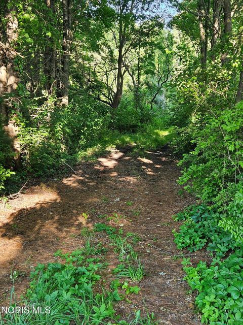 Tiny photo for 6420 Prov Neap Swan Road, Swanton, OH 43558 (MLS # 10008446)