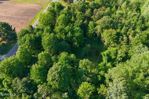 Tiny photo for 6420 Prov Neap Swan Road, Swanton, OH 43558 (MLS # 10008446)