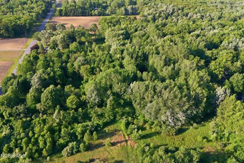 Tiny photo for 6420 Prov Neap Swan Road, Swanton, OH 43558 (MLS # 10008446)