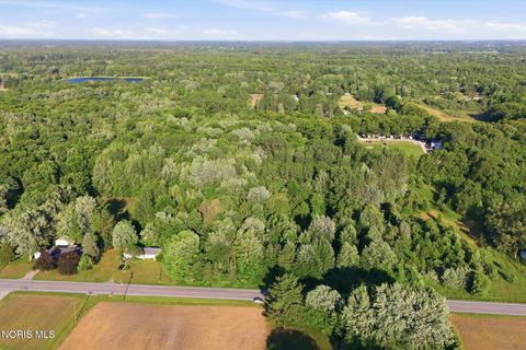 Tiny photo for 6420 Prov Neap Swan Road, Swanton, OH 43558 (MLS # 10008446)