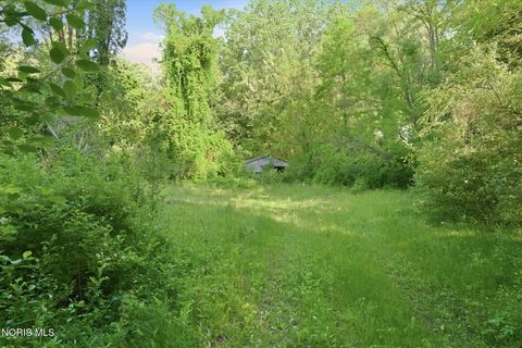 Tiny photo for 6420 Prov Neap Swan Road, Swanton, OH 43558 (MLS # 10008446)