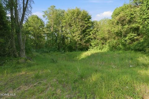 Tiny photo for 6420 Prov Neap Swan Road, Swanton, OH 43558 (MLS # 10008446)