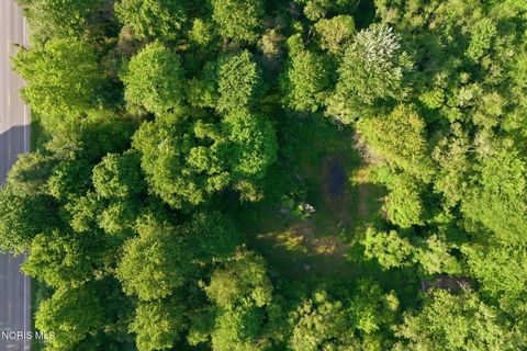 Tiny photo for 6420 Prov Neap Swan Road, Swanton, OH 43558 (MLS # 10008446)