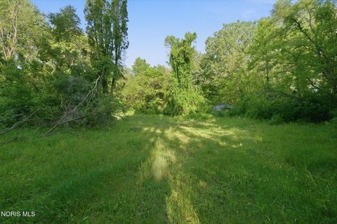 Tiny photo for 6420 Prov Neap Swan Road, Swanton, OH 43558 (MLS # 10008446)