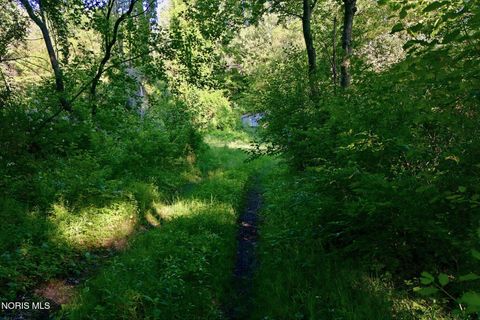 Tiny photo for 6420 Prov Neap Swan Road, Swanton, OH 43558 (MLS # 10008446)
