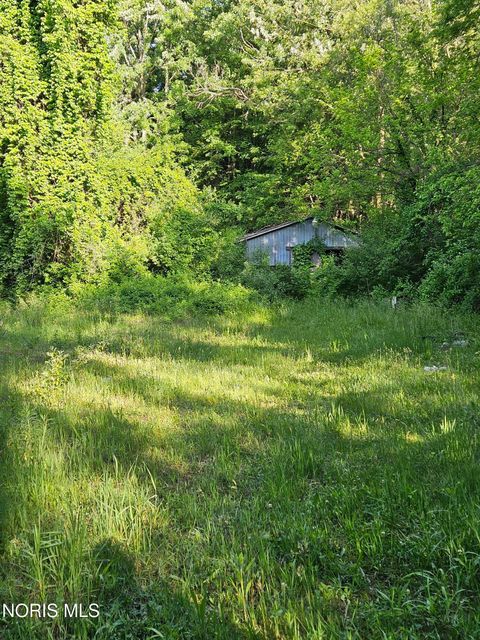 Tiny photo for 6420 Prov Neap Swan Road, Swanton, OH 43558 (MLS # 10008446)
