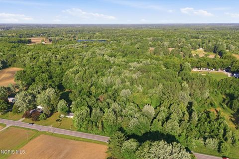 Tiny photo for 6420 Prov Neap Swan Road, Swanton, OH 43558 (MLS # 10008446)
