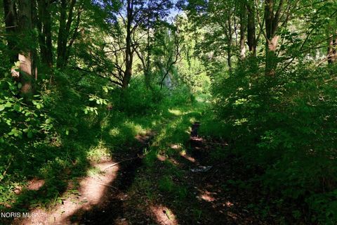 Tiny photo for 6420 Prov Neap Swan Road, Swanton, OH 43558 (MLS # 10008446)