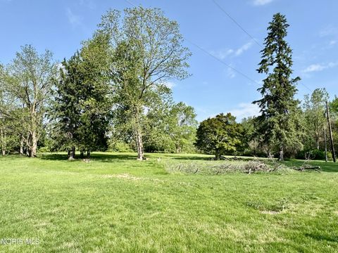 Tiny photo for 307 S Maple Street, Fayette, OH 43521 (MLS # 10007938)