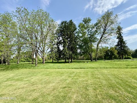 Photo of 307 S Maple Street, Fayette, OH 43521 (MLS # 10007938)