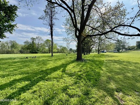 Tiny photo for 307 S Maple Street, Fayette, OH 43521 (MLS # 10007938)