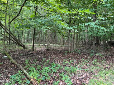 Tiny photo for 1737 9 Road, Edgerton, OH 43517 (MLS # 10010803)