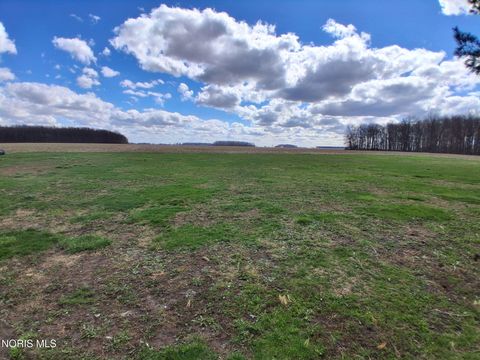 Tiny photo for 9531 County Road B, Leipsic, OH 45856 (MLS # 10006096)