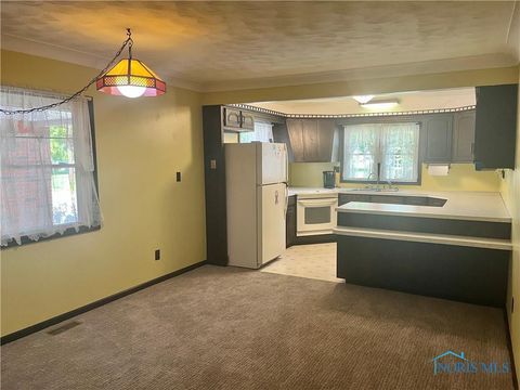 Tiny photo for 111 E Sugar Street, Leipsic, OH 45856 (MLS # 10005039)