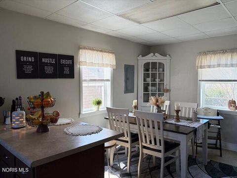 Tiny photo for 376 E Perry Street, Tiffin, OH 44883 (MLS # 10005744)