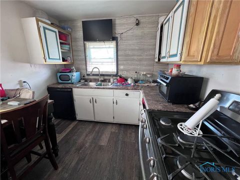 Tiny photo for 263 W Chestnut Street, Wauseon, OH 43567 (MLS # 6135840)