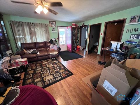 Tiny photo for 263 W Chestnut Street, Wauseon, OH 43567 (MLS # 6135840)